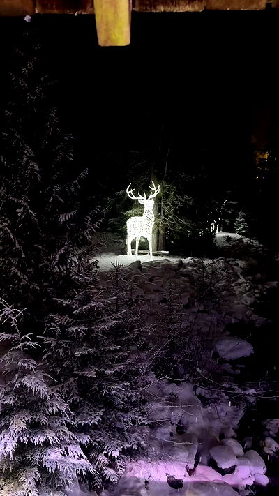 rachelc00k rachelc00k archive video