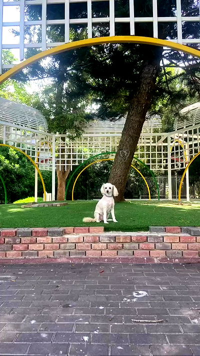 feelbetterinmysweater feelbetterinmysweater archive video