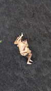 rafael.avcioglu Altpins Profile Picture