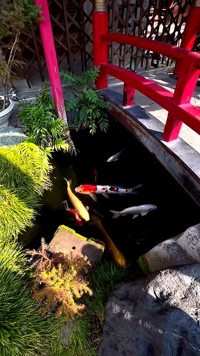 neomiconrad neomiconrad archive video