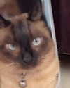 6a1it Altpins Profile Picture