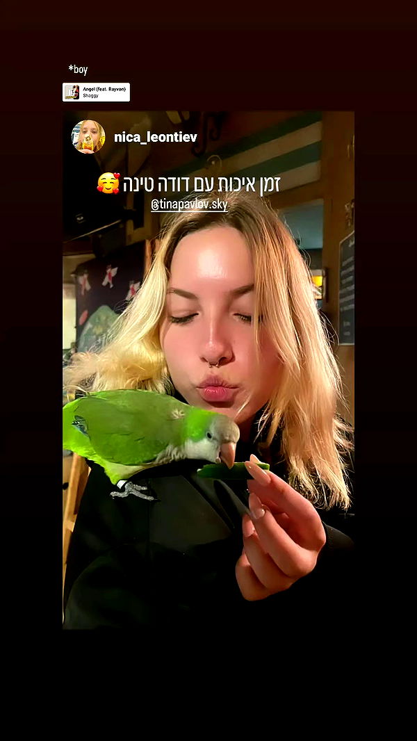 tinapavlov.sky archive video preview