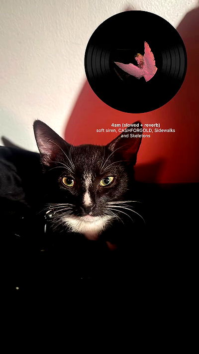 6nattynat9 6nattynat9 archive video