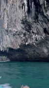 shelly_roberin Altpins Profile Picture