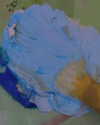 suadaunanh_ne Altpins Profile Picture