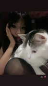 jxsselin_ Altpins Profile Picture