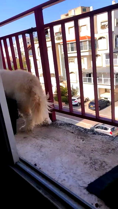 feelbetterinmysweater feelbetterinmysweater archive video