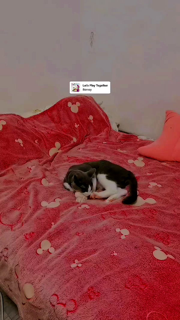 tinapavlov.sky archive video preview