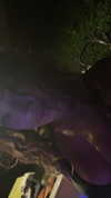milliekaushal Altpins Profile Picture