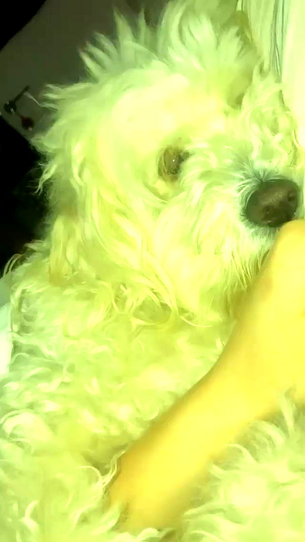 feelbetterinmysweater archive video preview