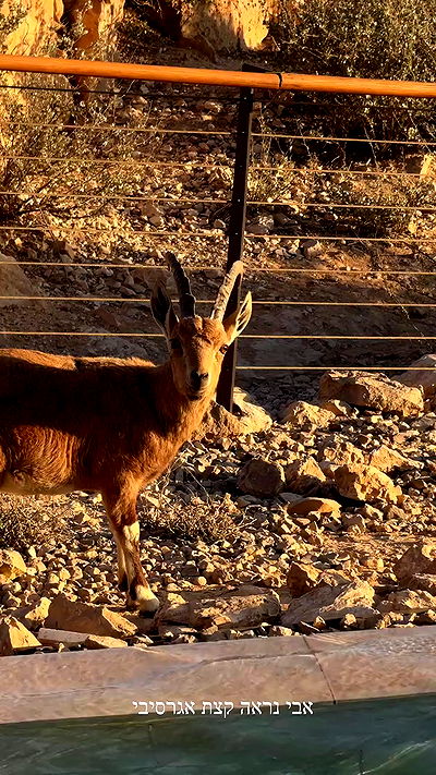 itsilanosh itsilanosh archive video