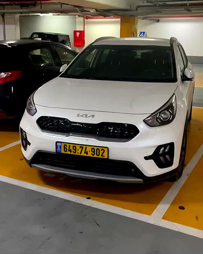 tuliprivet tuliprivet archive video