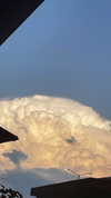 18sandy_ Altpins Profile Picture