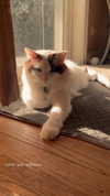 pixieonyxx Altpins Profile Picture