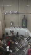 elohim_adirim Altpins Profile Picture