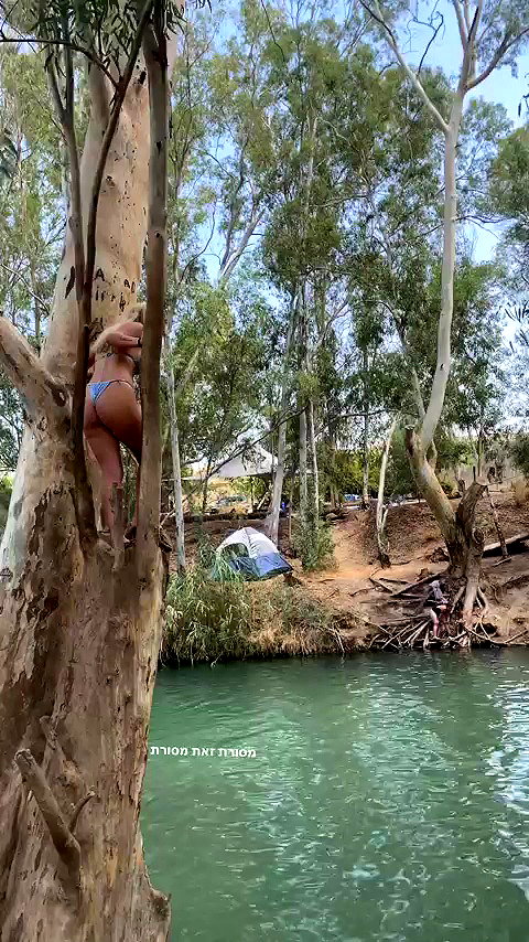 libbycannon_ archive video preview