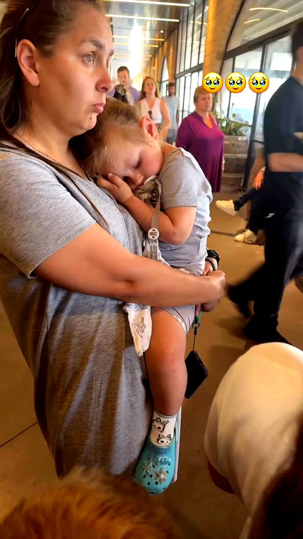 jaroslava_klavir archive video preview