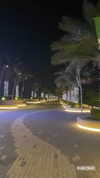 amit.yaron Altpins Profile Picture