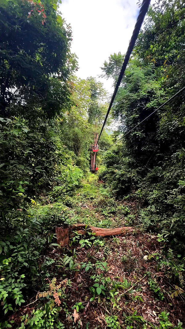 noammalka___ archive video preview