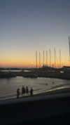sydney_melman Altpins Profile Picture