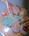 diana_tal_ Altpins Profile Picture