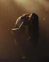 kehlani Altpins Profile Picture