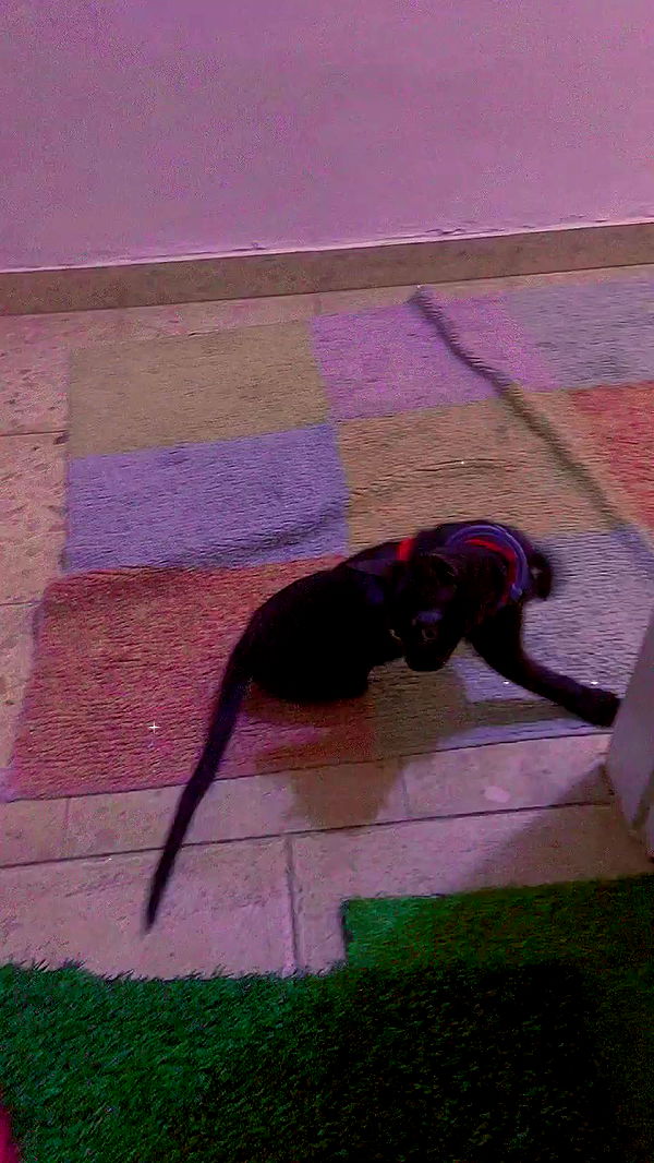 feelbetterinmysweater archive video preview