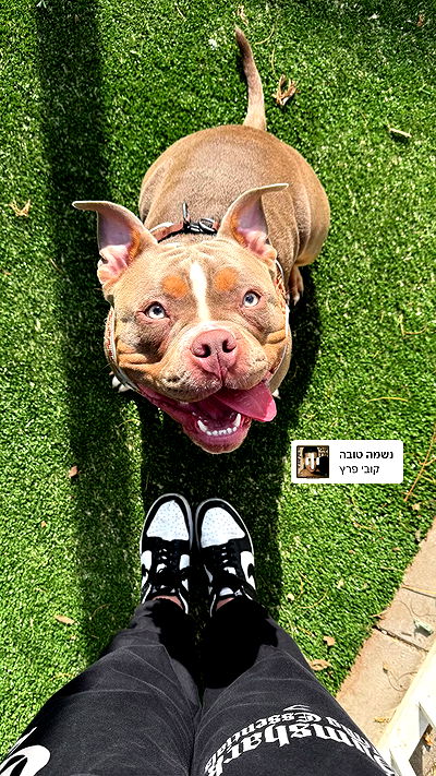 kesemgreenyer kesemgreenyer archive video