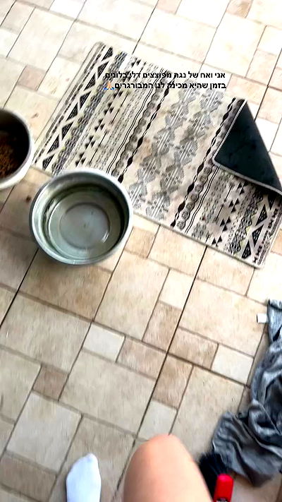 tuliprivet tuliprivet archive video