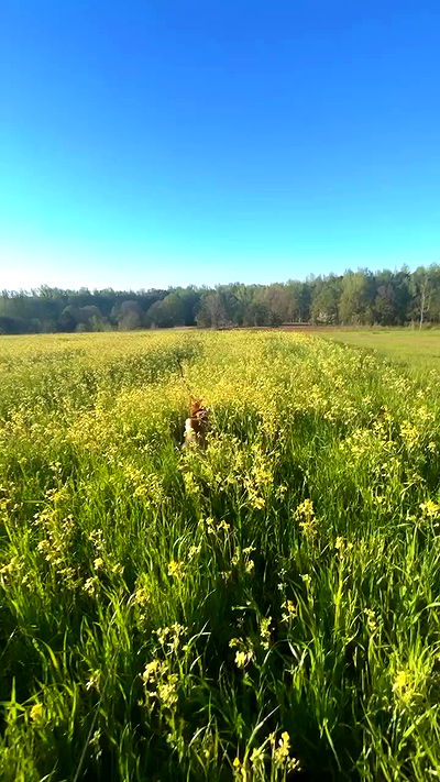 zommmbri zommmbri archive video