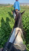 shvuty__ Altpins Profile Picture
