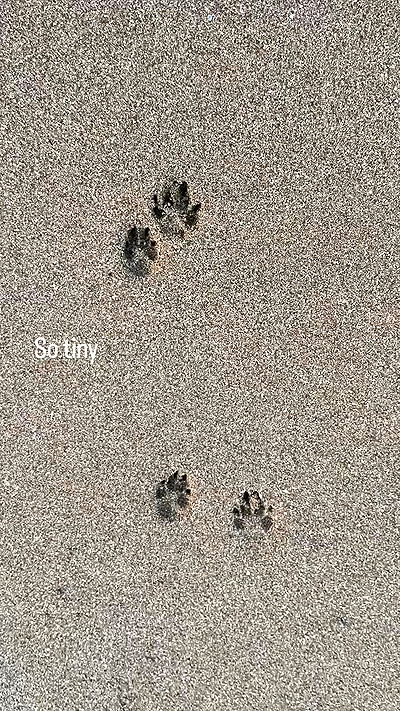 feelbetterinmysweater feelbetterinmysweater archive video