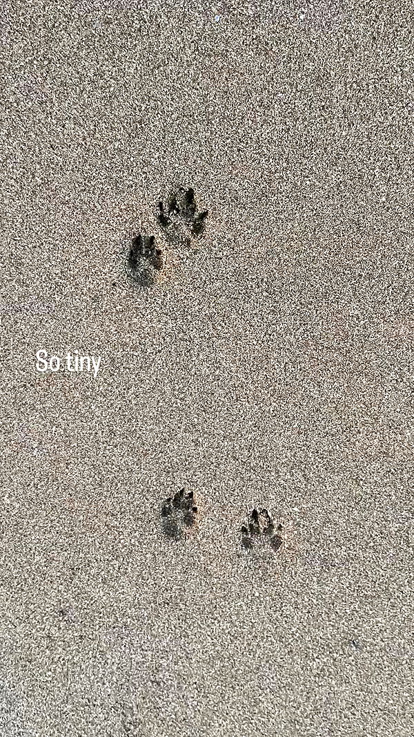 feelbetterinmysweater archive video preview