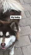 jailyneojeda Altpins Profile Picture