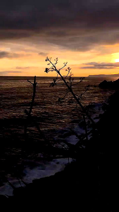 aekamee aekamee archive video