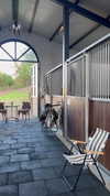 barbaepapa Altpins Profile Picture