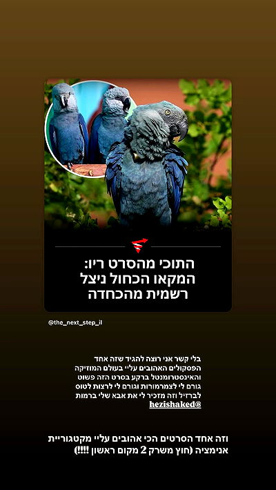 liashaked liashaked archive video