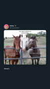 whosjimin._ Altpins Profile Picture