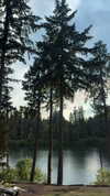 emelyeender Altpins Profile Picture