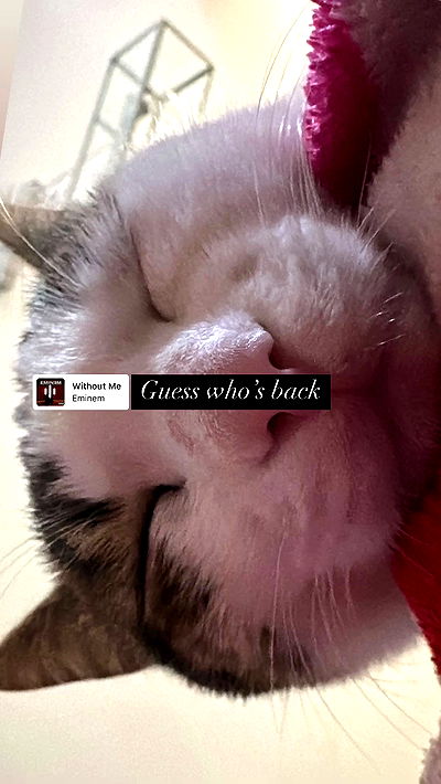 liashaked liashaked archive video