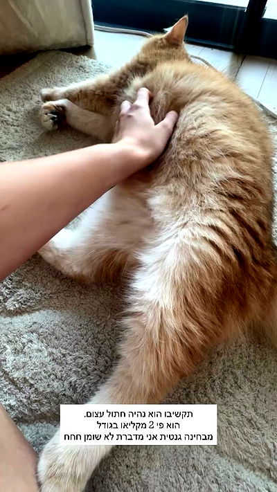 itsilanosh itsilanosh archive video