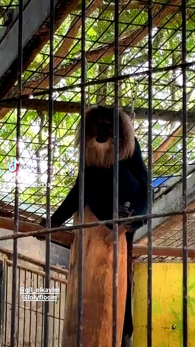 noyaislilith333 noyaislilith333 archive video