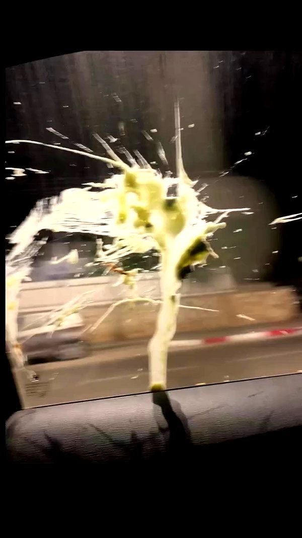 osher_yakir archive video preview