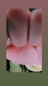 la.vica_ Altpins Profile Picture