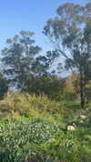 _shaybar._ Altpins Profile Picture