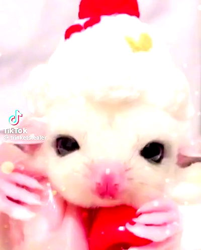 redroomromance redroomromance archive video