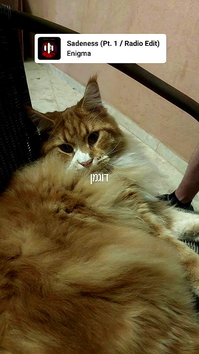 avital_1010.2003 avital_1010.2003 archive video