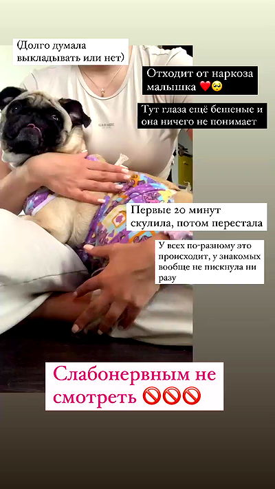 nyityam nyityam archive video