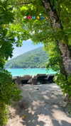 noa_mendel_ Altpins Profile Picture