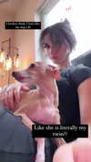 1kyle8_ Altpins Profile Picture